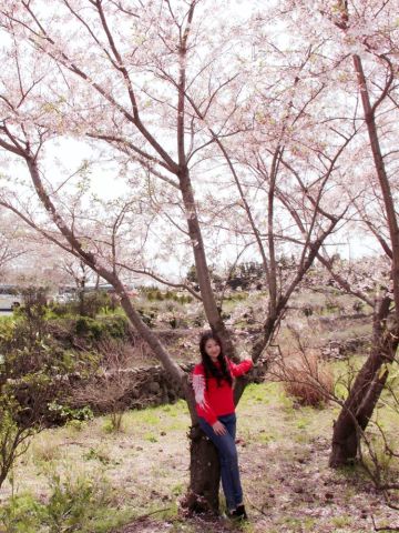韩国济州岛带娃旅游攻略,首尔和济州岛哪个适合亲子游