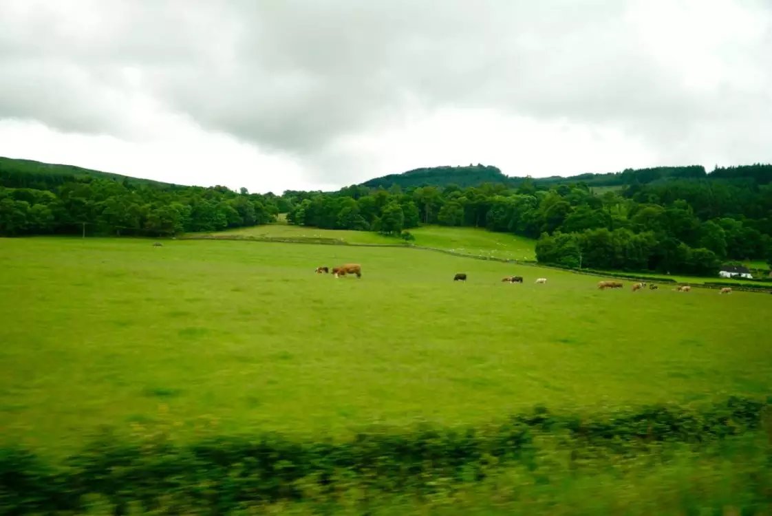 我意外发现治疗咽喉炎的妙方