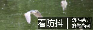 索尼fe70-200mmf4微距,索尼fe70-200mmf4goss拍多远