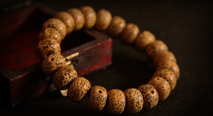 金蝉子星月菩提是什么料,星月菩提龙鳞是什么