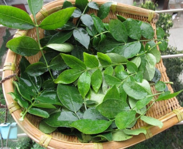 太震惊了！花椒是女性妇科病的克星