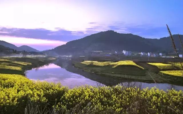 阿里山的姑娘邓禹平,阿里山的姑娘邓禹平结婚了吗