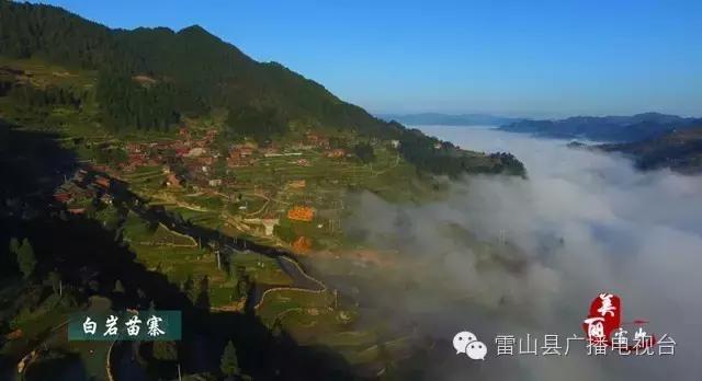 感受天然的氧吧气息和美景,感受大自然天然氧吧的气息和美景