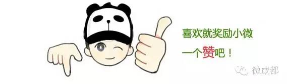 为成都建设添砖加瓦,为四川成都点赞