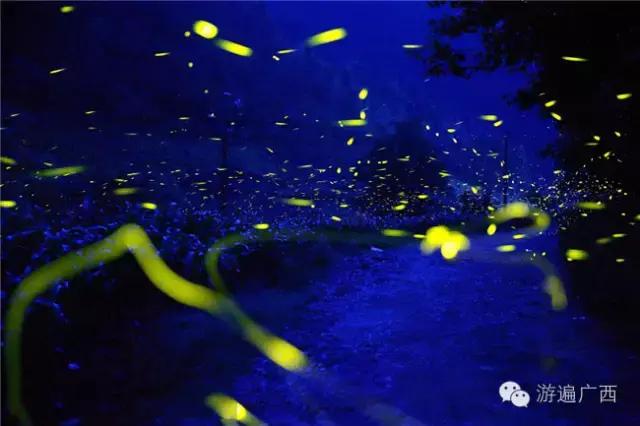 广西乐业出现神秘萤火之光，堪比美国大片！