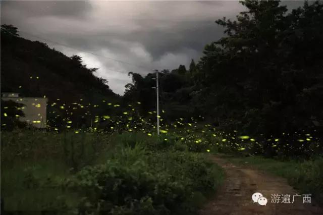 广西乐业出现神秘萤火之光，堪比美国大片！