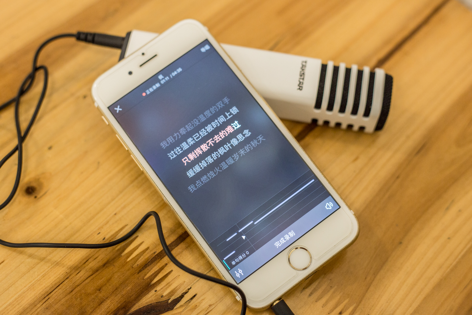 得胜麦克风录音,得胜TCM麦克风