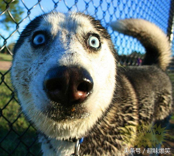 今天第一次看到女朋友下面，黑不溜秋的两片肉，我发飙了。