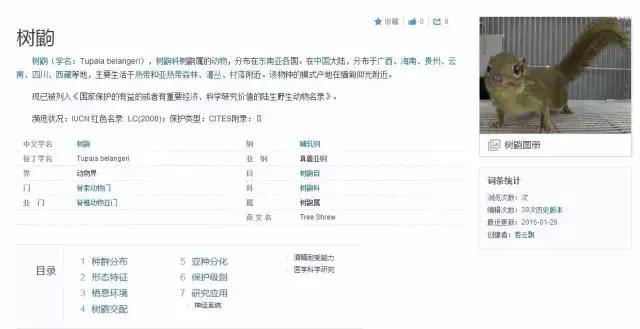 迷茫的时候静静下心来好好领会,哪些话可以让人摆脱负能量和迷茫