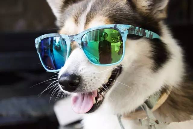 夏天太阳镜选购,夏天太阳镜怎么挑