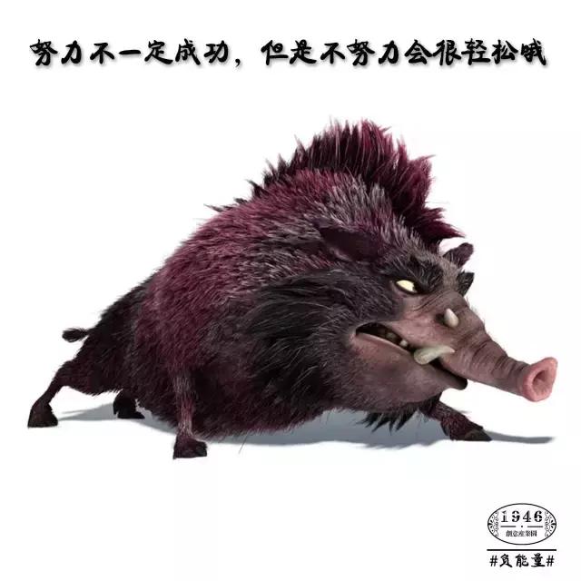 迷茫的时候静静下心来好好领会,哪些话可以让人摆脱负能量和迷茫