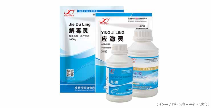 草鱼病毒性出血病死亡数量的变化,草鱼病毒性出血病用什么药好