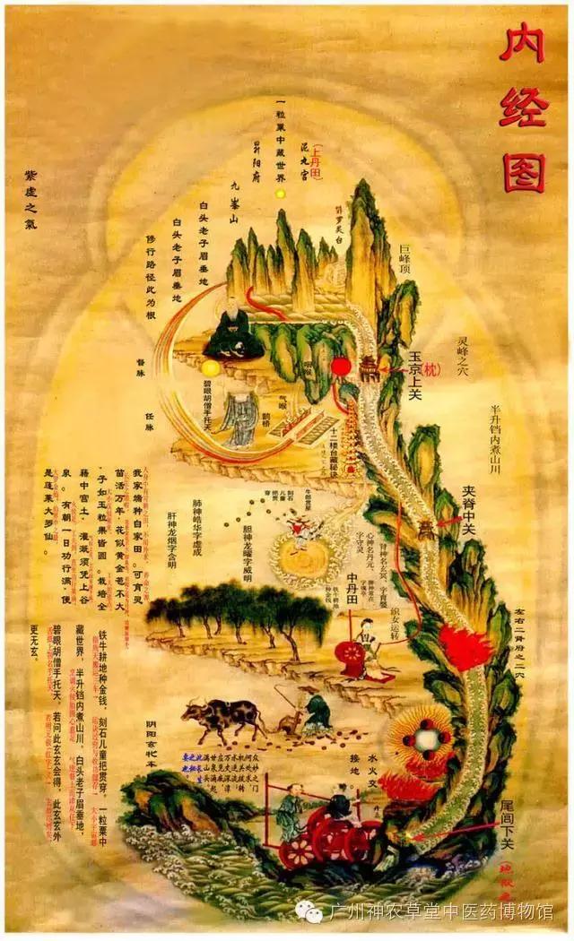 中医不懂解剖学,中医经络穴位解剖学