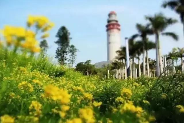 福建这些文艺到爆的灯塔，去完之后才能跟夏天好好道个别！