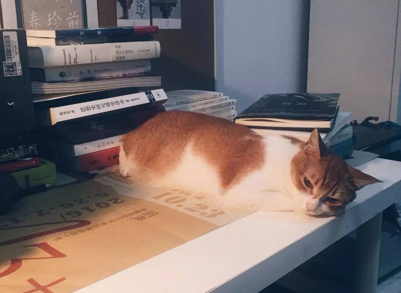 一个人在家空虚寂寞怎么办,一个人住无聊怎么办