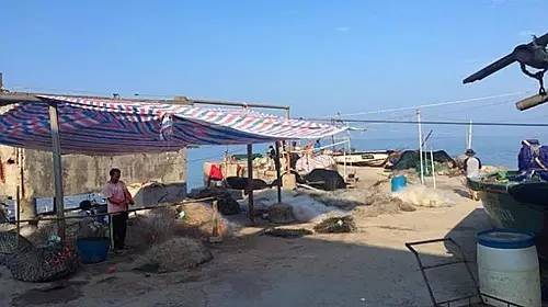 海陵岛手杆钓鱼点攻略,庙湾岛路亚钓点