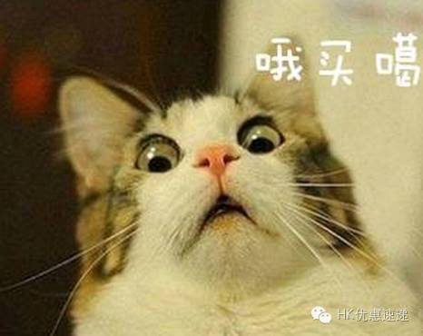 天呐！火的要死「城野医生毛孔水」价格暴涨200%