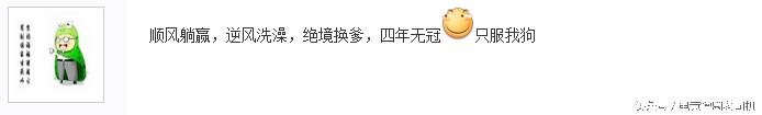 一“箭”失利成千古，小狗再遭无情黑，我们需要的是什么？