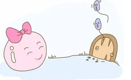 试管婴儿成功率大揭秘,试管婴儿流程大揭秘