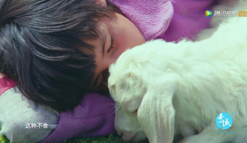 奇域探秘新丝路纪录片哪里可看,奇域探秘新丝路