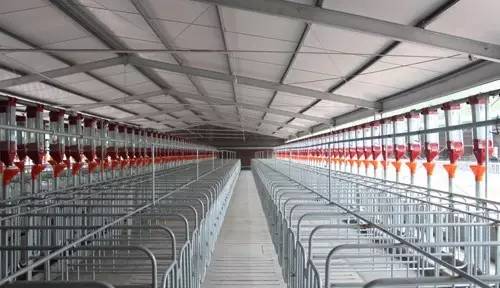 温氏资本怎么样,温氏集团模式