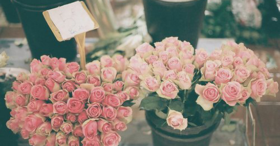 隔壁搬来了新邻居送礼物,隔壁邻居来送饺子