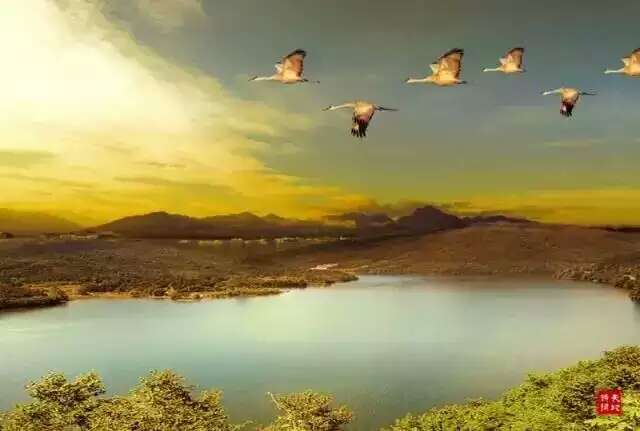 倒影摄影,天坛倒影摄影