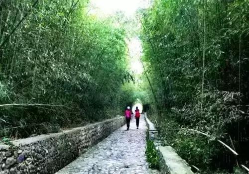 洛阳涧西区好玩的景点,洛阳郑州好玩的景点推荐