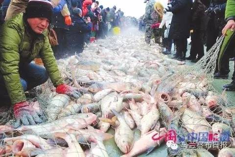 今冬最浪漫的事，就是和你一起去凉城！