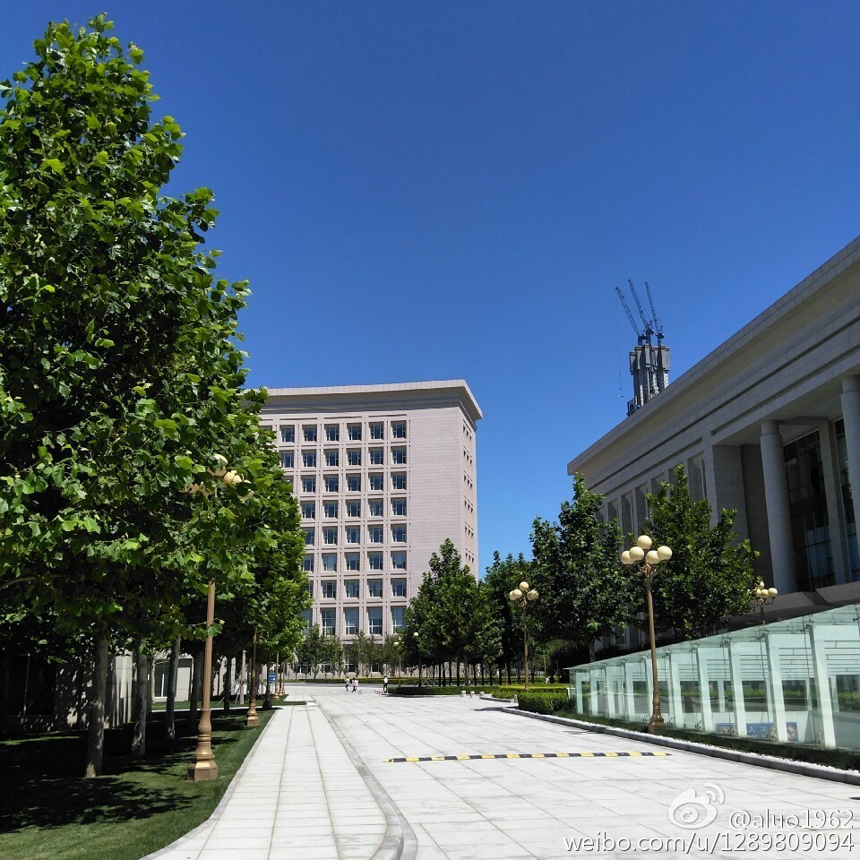 天津蓝眼泪视频,天津蓝眼泪最新视频