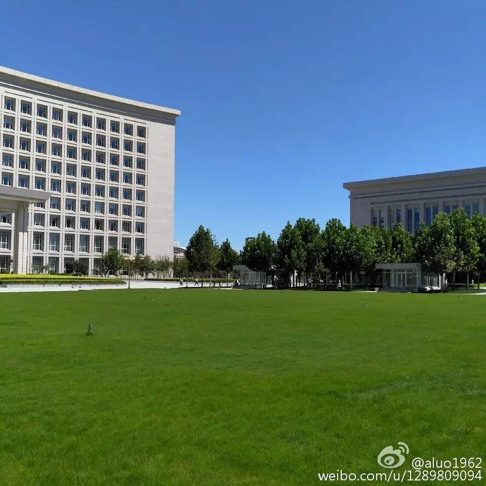 天津蓝眼泪视频,天津蓝眼泪最新视频