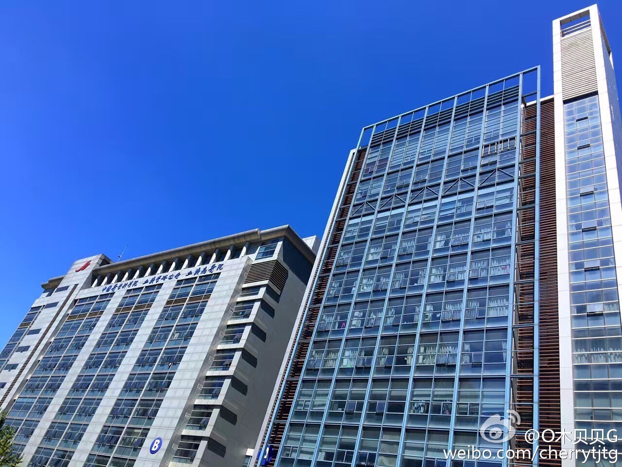 天津蓝眼泪视频,天津蓝眼泪最新视频