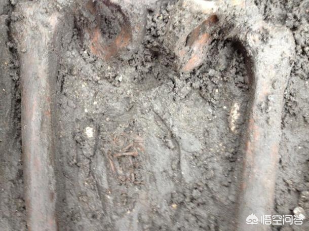 尸体能生小宝宝吗,尸体也能生孩子么