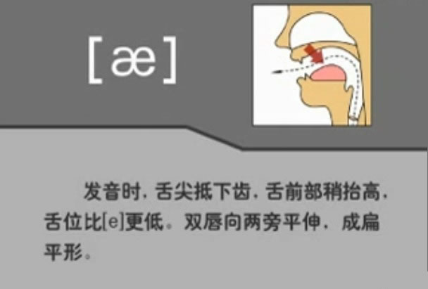 音标表48个国际音标发音教学视频,英语美式音标48个音标谐音图