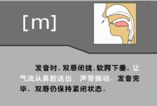 音标表48个国际音标发音教学视频,英语美式音标48个音标谐音图