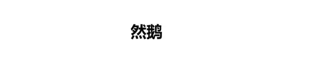 上市船企业绩,公司上市时哭了