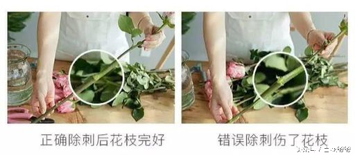 鲜花插花图解大全,鲜花醒花后怎么插花好看