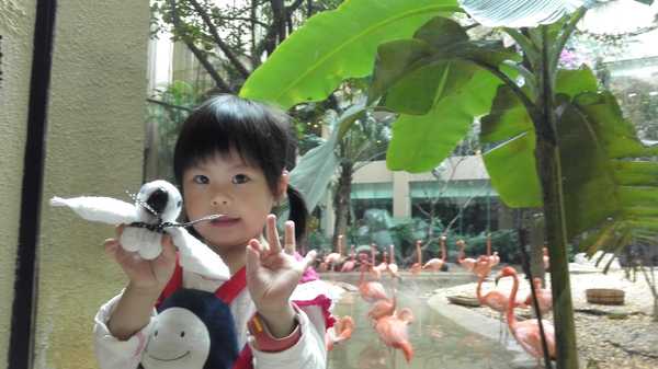 2017春节珠海广州长隆5日亲子游,广州珠海长隆五日游