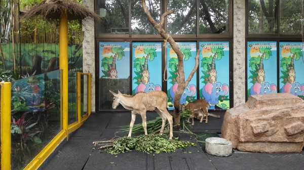 2017春节珠海广州长隆5日亲子游,广州珠海长隆五日游