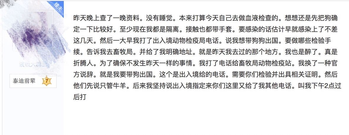 别让试纸草率地夺去猫狗的命！