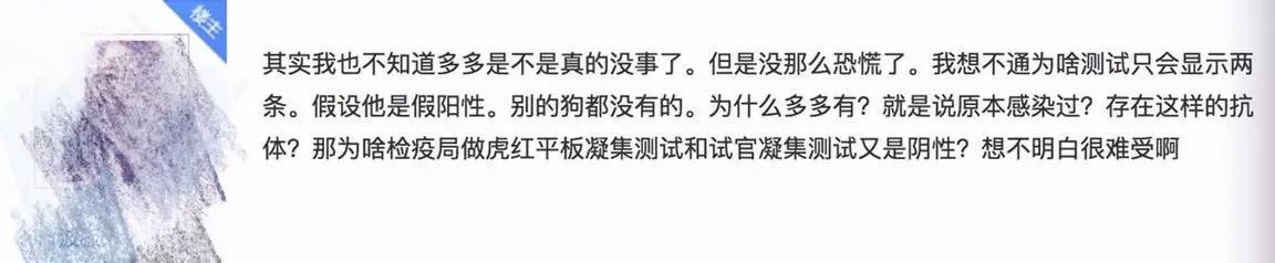 别让试纸草率地夺去猫狗的命！