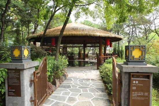 热高温泉养生世界视频,热高温泉世界自助测评