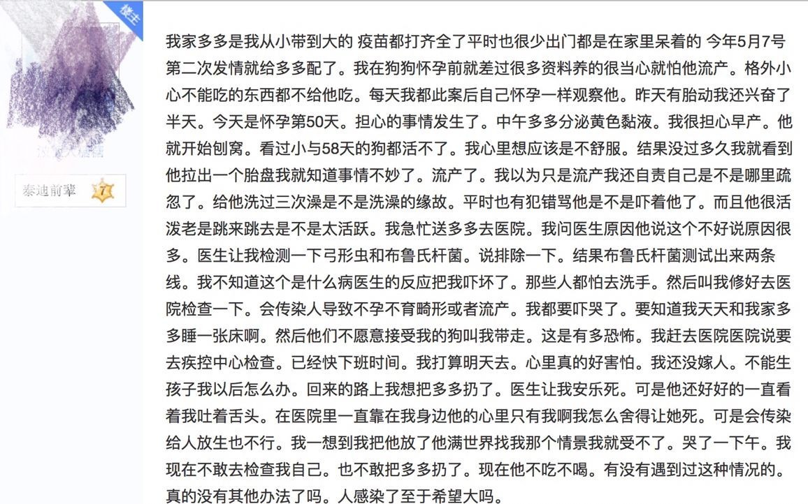 别让试纸草率地夺去猫狗的命！