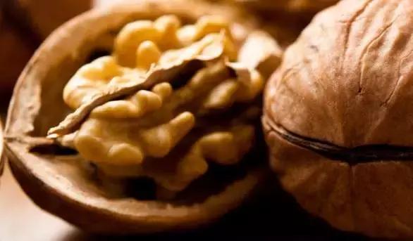 狗狗太瘦不爱吃狗粮怎么办,狗狗最近不怎么吃狗粮并且瘦了