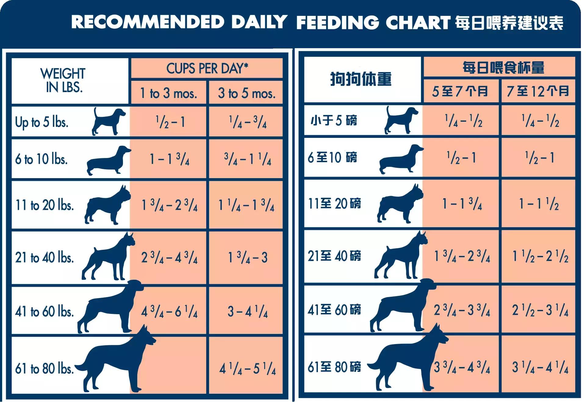 狗狗太瘦不爱吃狗粮怎么办,狗狗最近不怎么吃狗粮并且瘦了