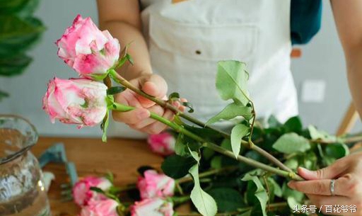 鲜花插花图解大全,鲜花醒花后怎么插花好看