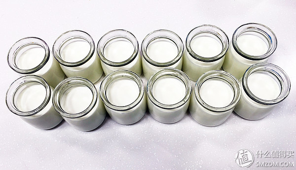 养出一碗好酸奶—12款市面主流品牌酸奶菌种对比测评