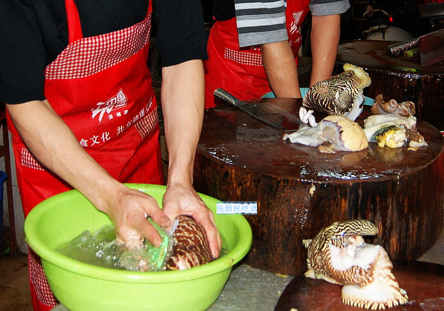 红螺也叫椰子涡螺，潮州旧志称其“壳红肉劲”，很考较厨师的工夫