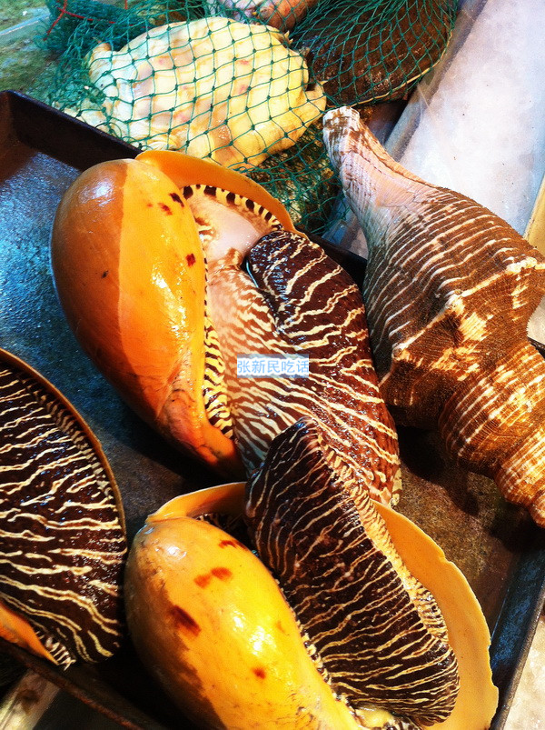 红螺也叫椰子涡螺，潮州旧志称其“壳红肉劲”，很考较厨师的工夫