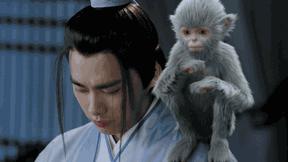 没想到你是这样的神狐小七！《青云志》灵（萌）兽（宠）大合集